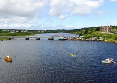 Tor Bay Acadien Society - 2016 Festival Savalette: And they’re off! Ducks are headed to the shore