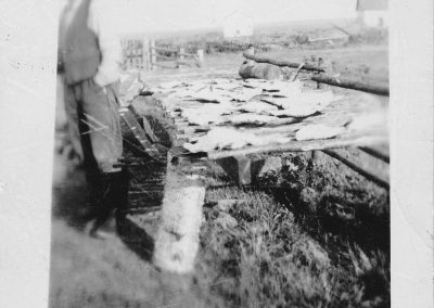 Tor Bay Acadien Society - Augustus (Justin) Pellerin Drying Codfish